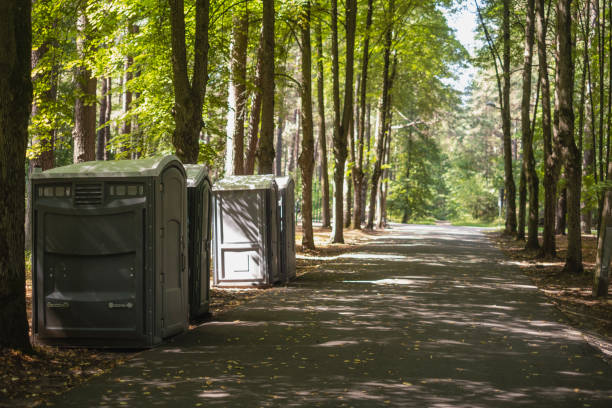 Best Tree and Shrub Care  in Emerald Bay, TX